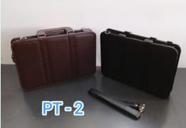 PORTAFOLIO PT-2 DOS TIRAS