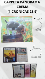 CARPETA PANORAMA C/TEXTOS C/MICA P/TARJETA CALIFORNIA